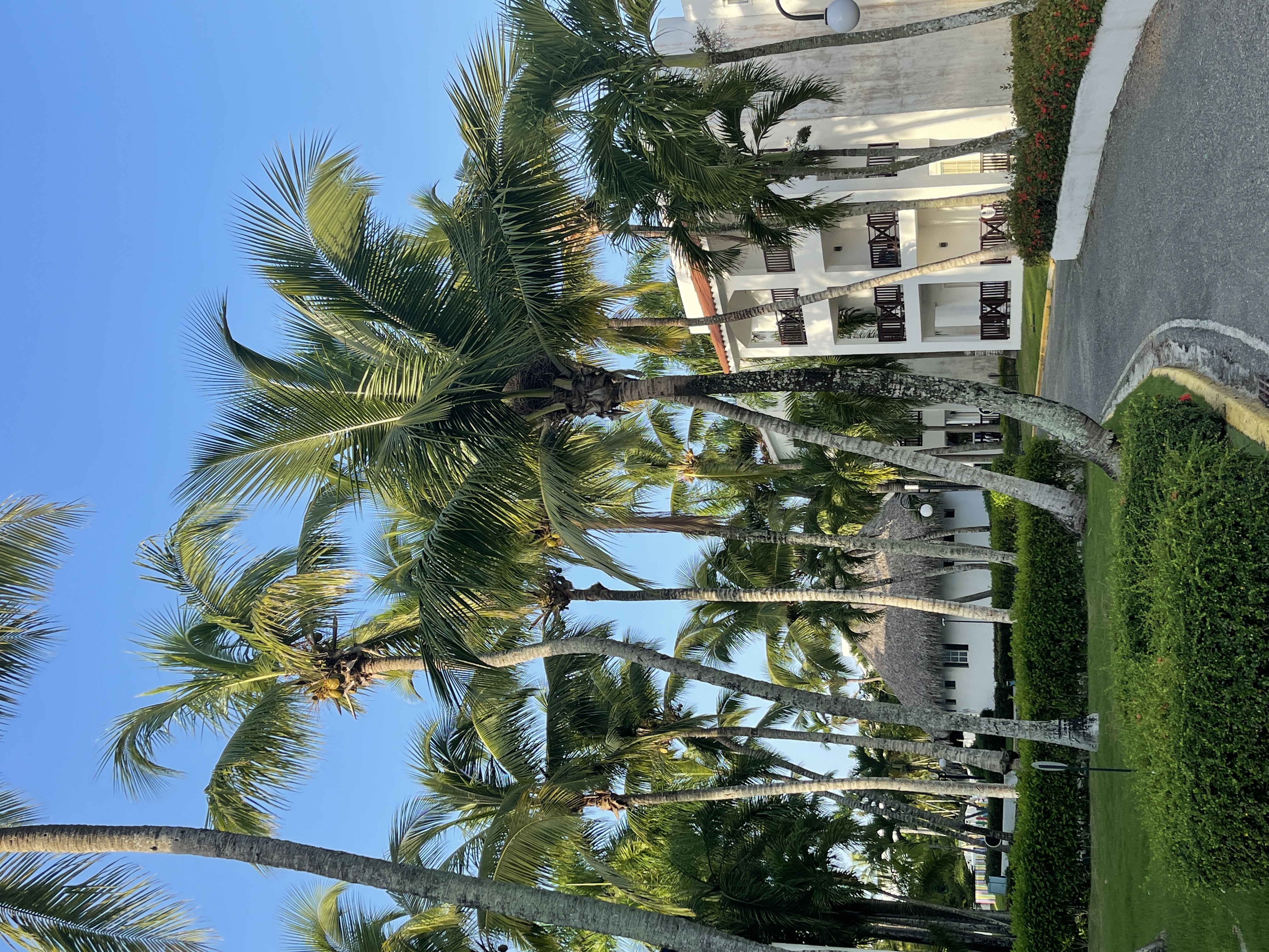 Фото Arena Beach Hotel