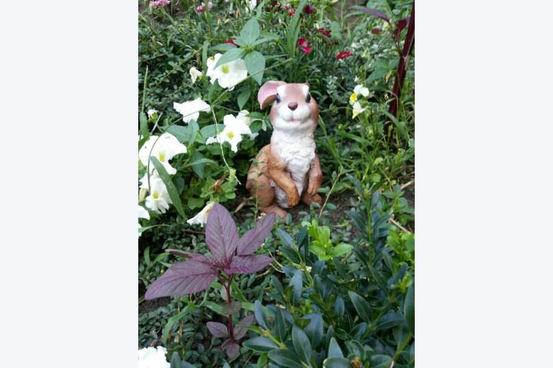 Фото Гостевой дом Канны