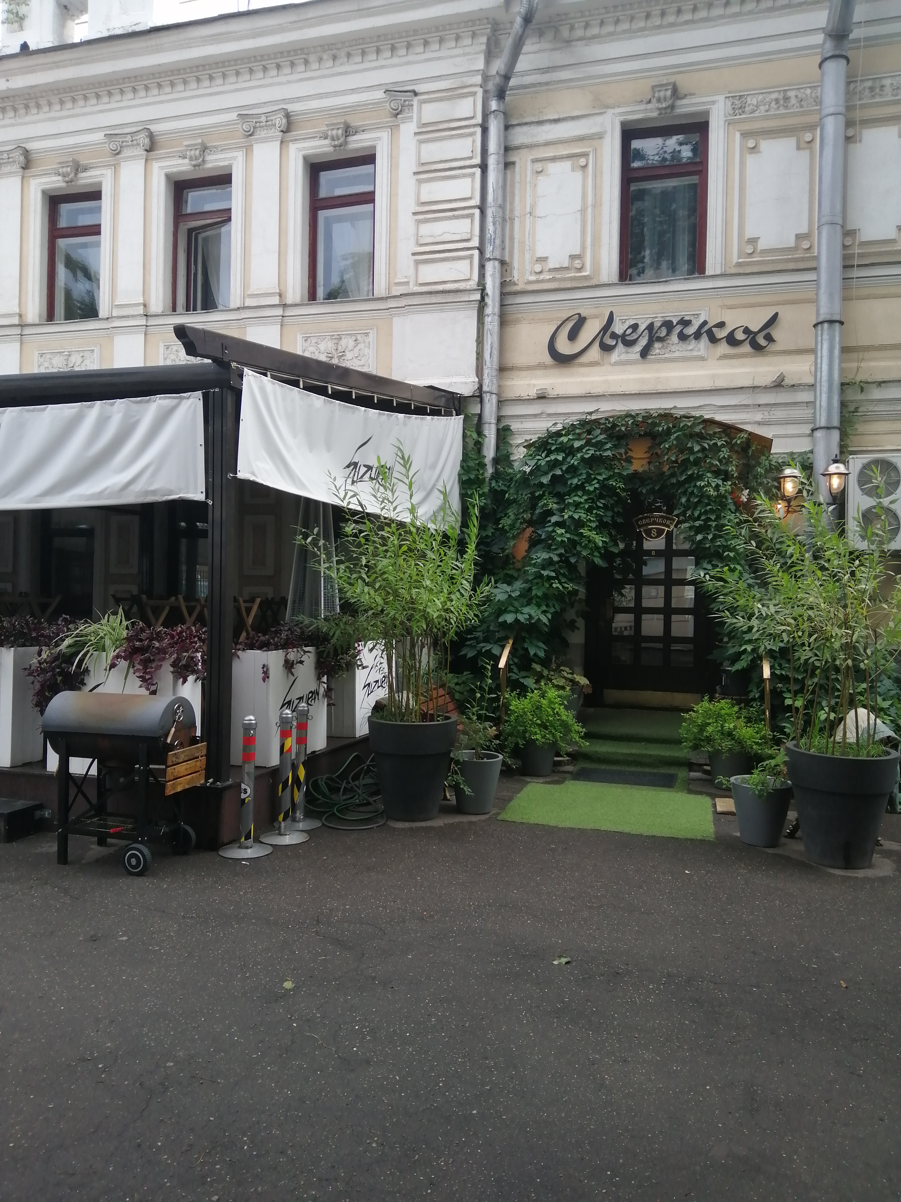 Фото Сверчков 8