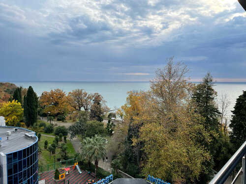 Гостиница City Park Hotel Sochi в Сочи