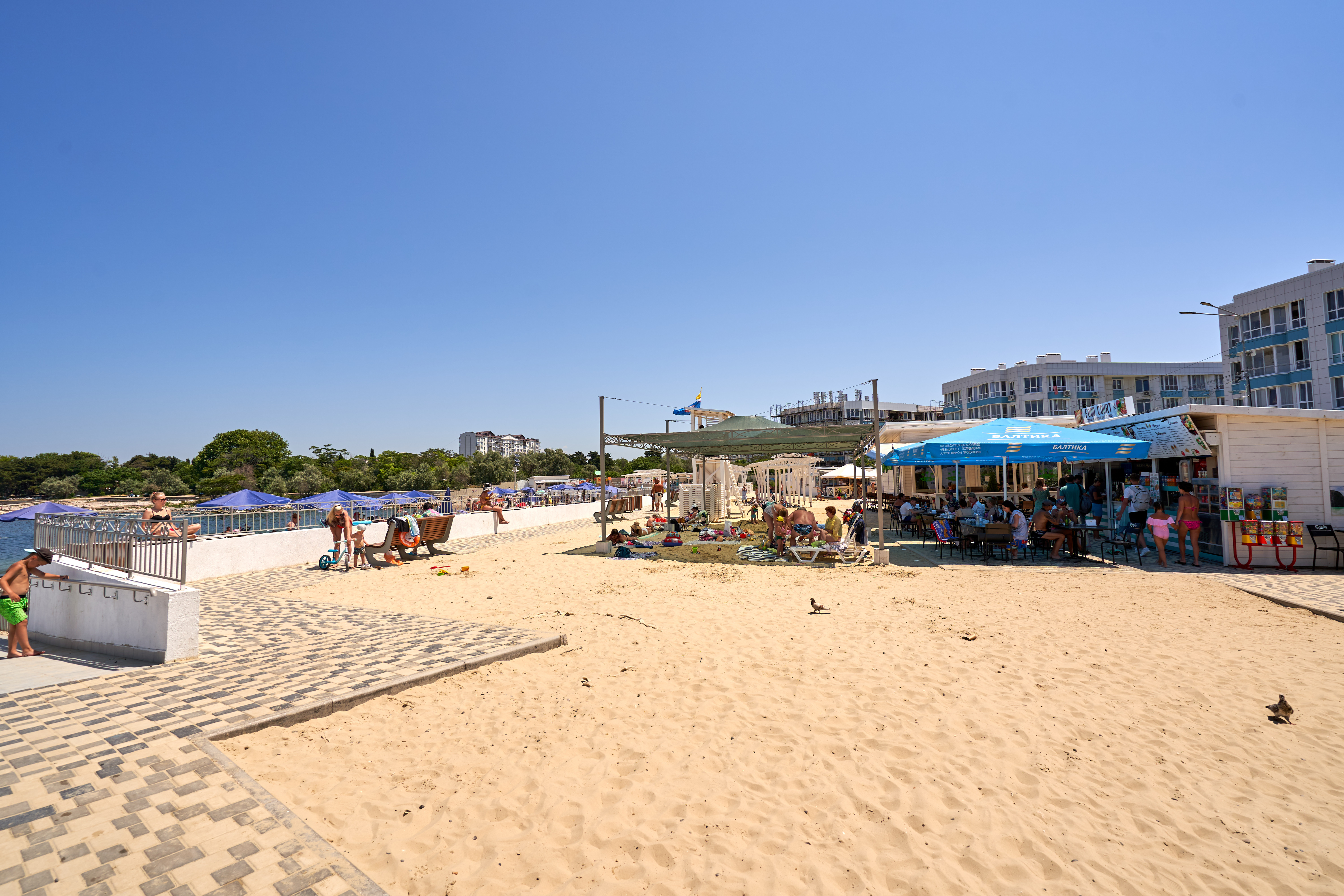 Фото Оливия