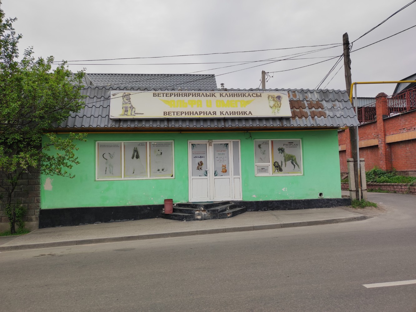 Ветеринарная клиника "Альфа-Вет" - цены, фото, отзывы