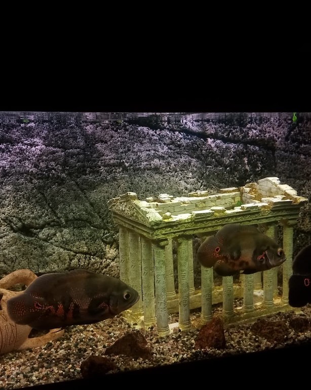 Фото City Hostel