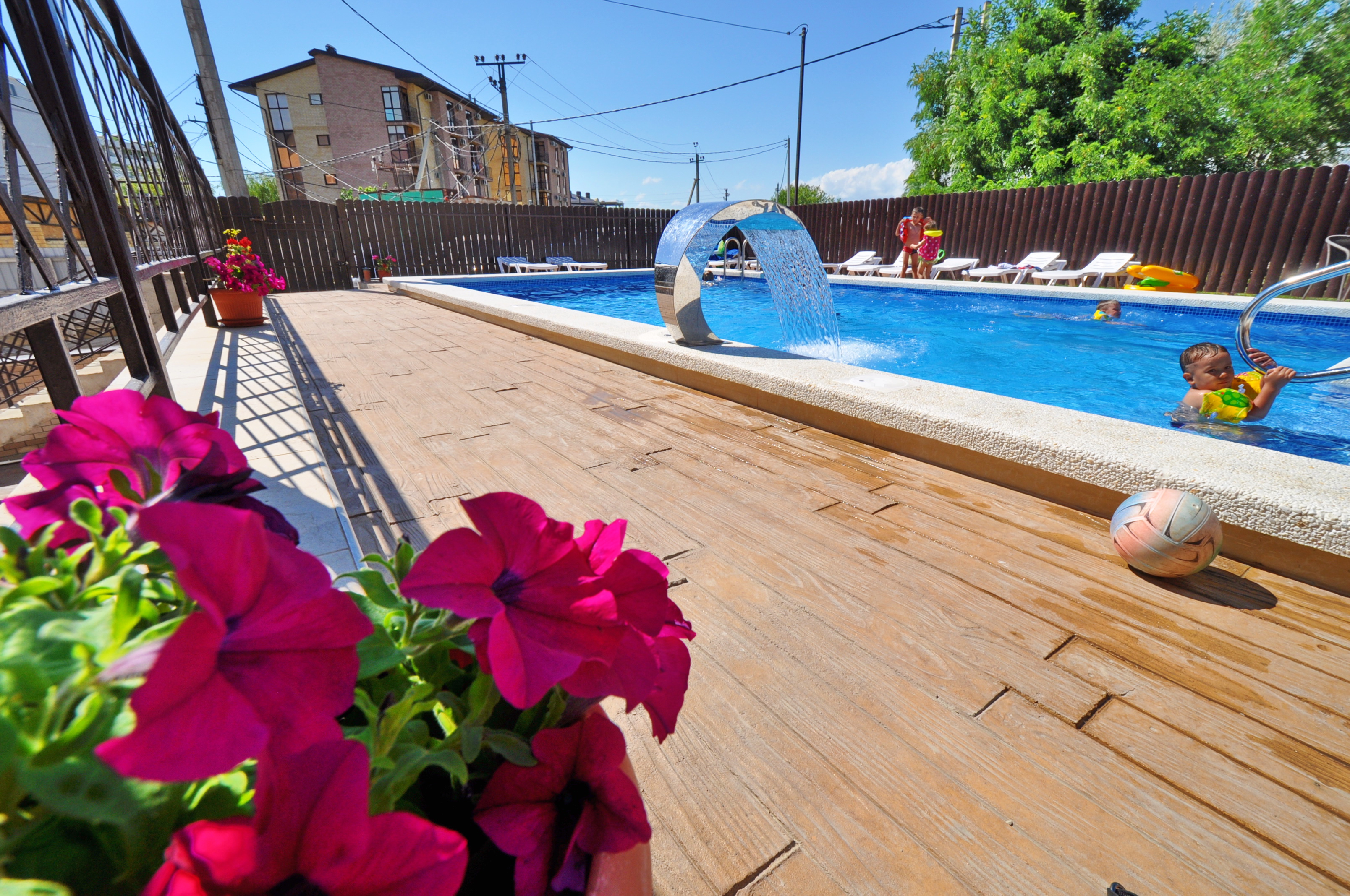 Фото Мангостин