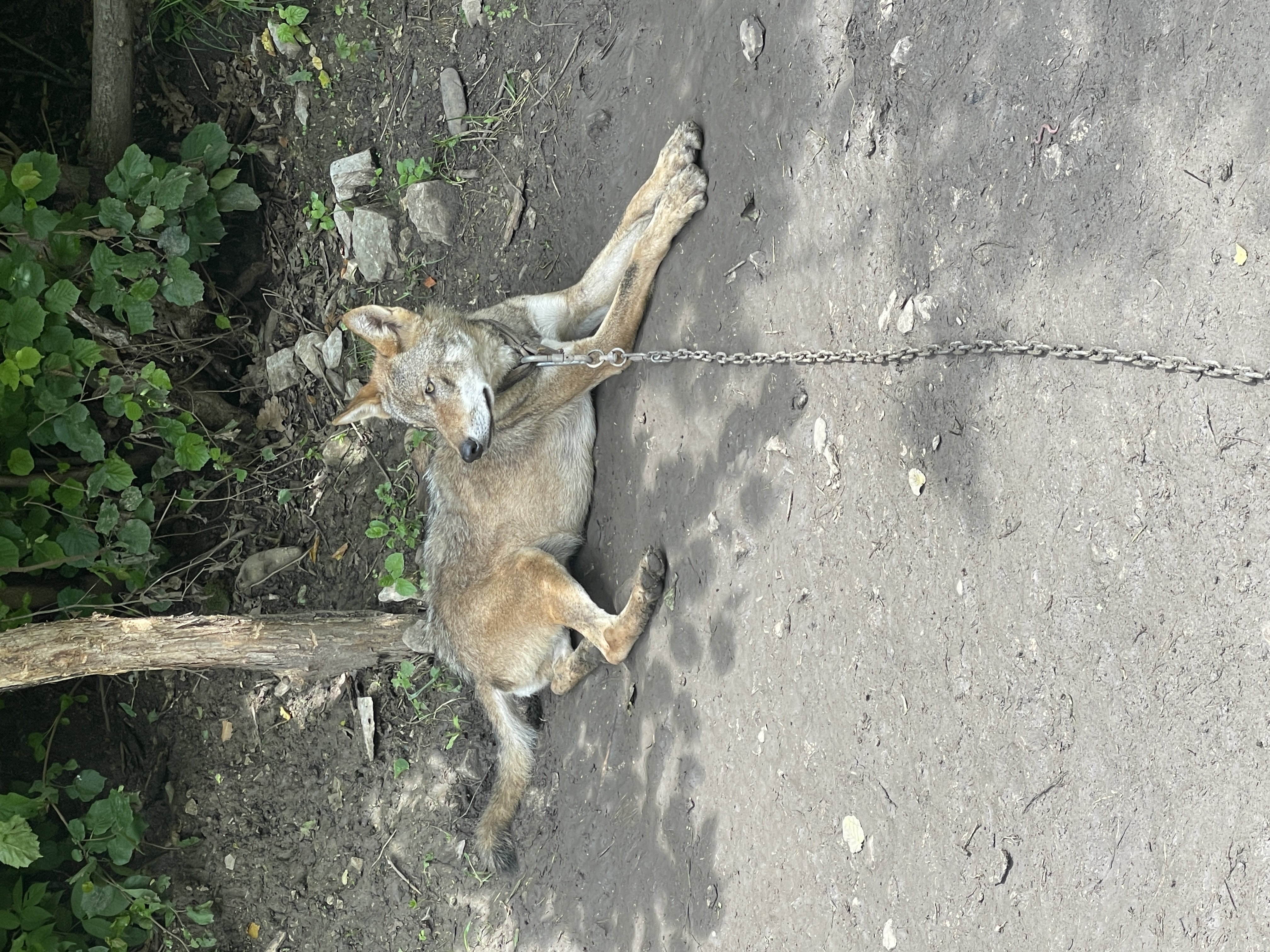 Фото БиоГорец