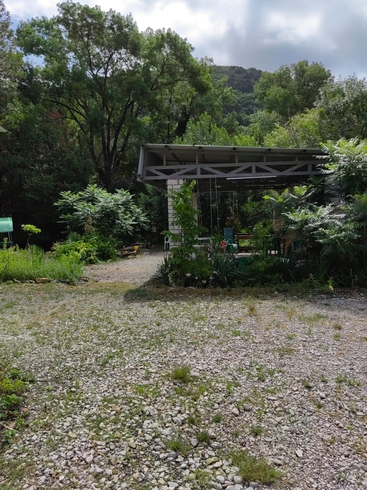 Фото Светлана