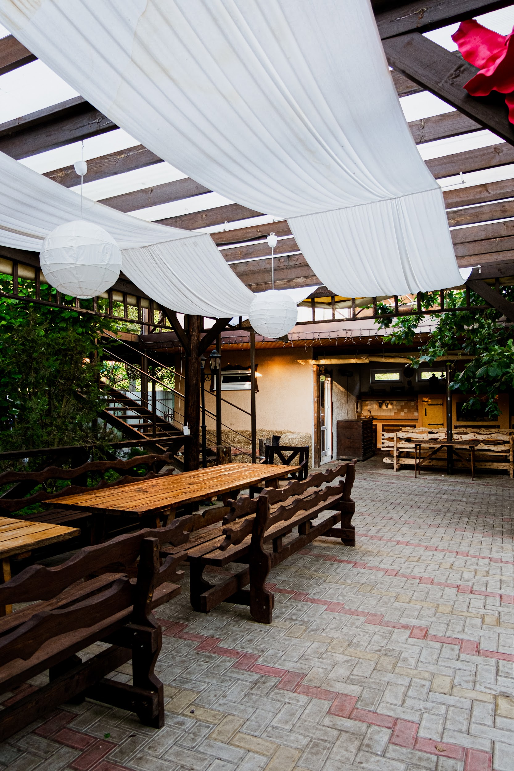 Фото Курочка Ряба