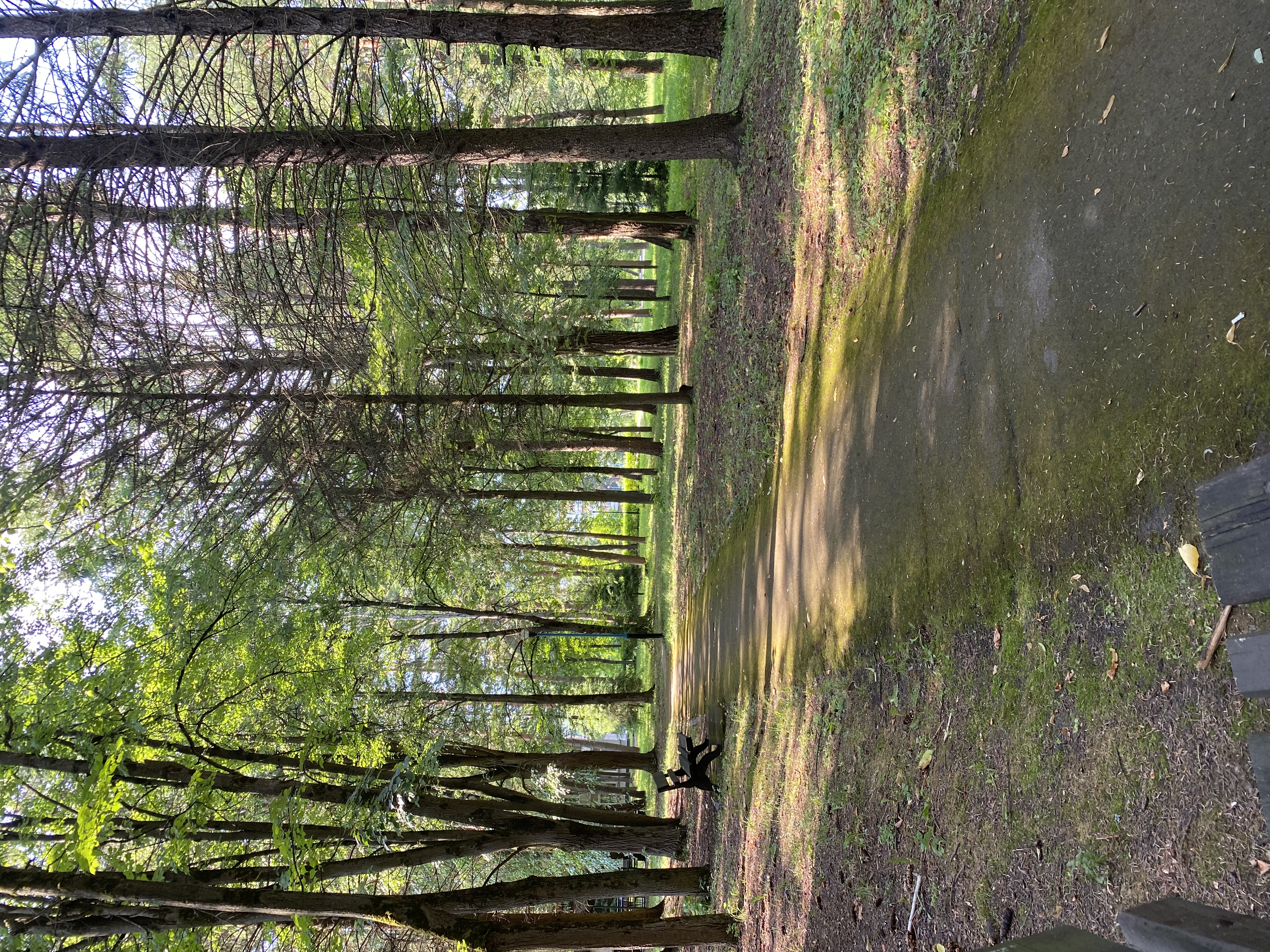 Фото Курорт Ерино