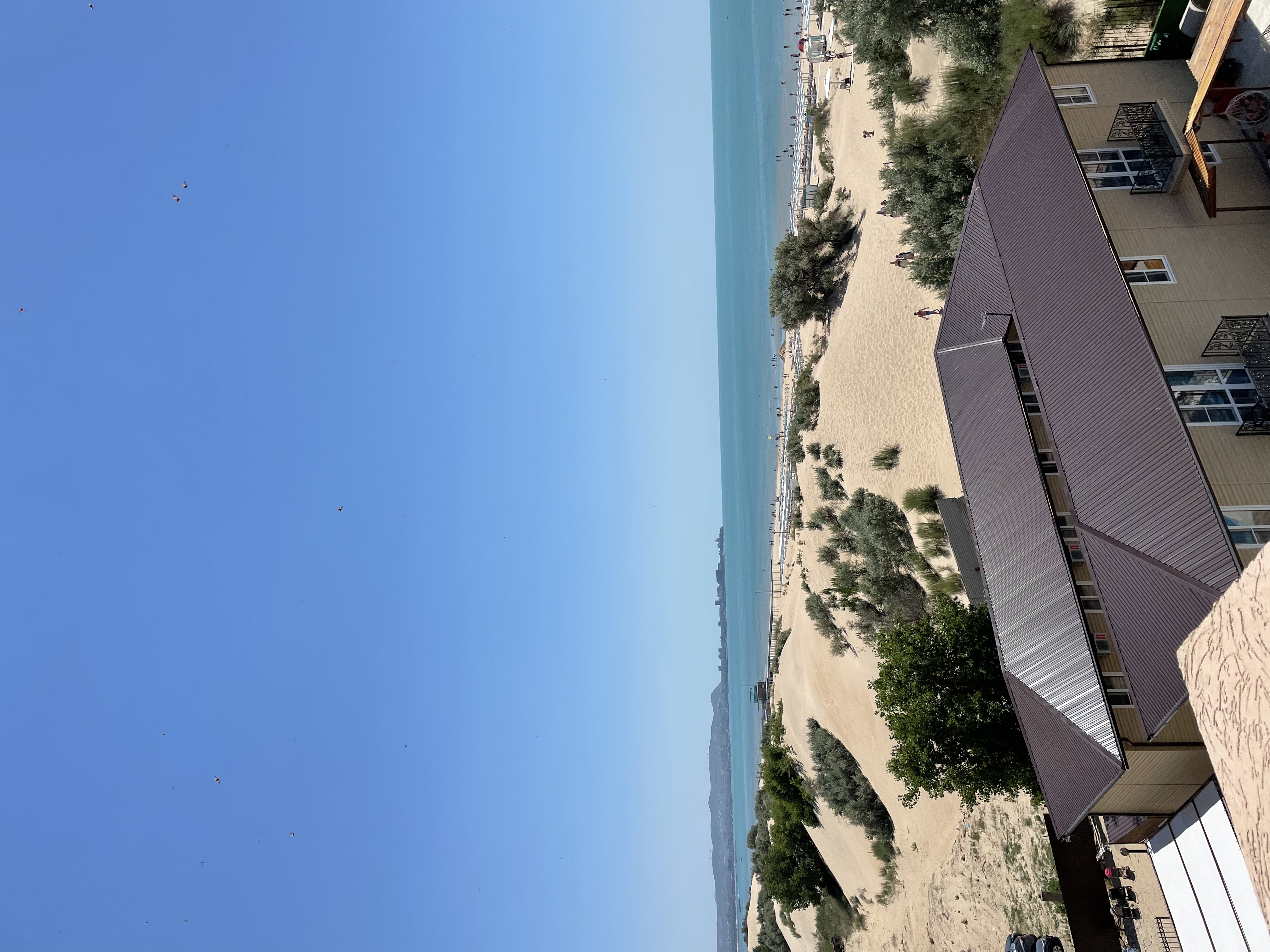 Фото Alfa Summer