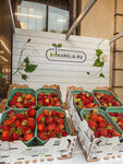Biokarelia (Nagornaya ulitsa, 1), greengrocery