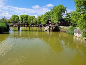 Грязевой вулкан Тиздар (Краснодарский край, Темрюкский район, Ахтанизовское сельское поселение, посёлок За Родину, грязевой вулкан Тиздар), природа в Краснодарском крае