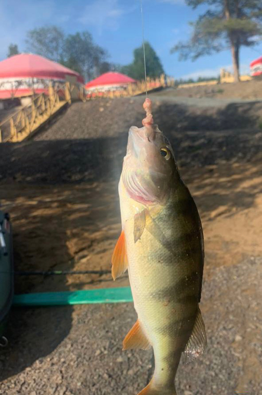 Фото Юрта Лахти