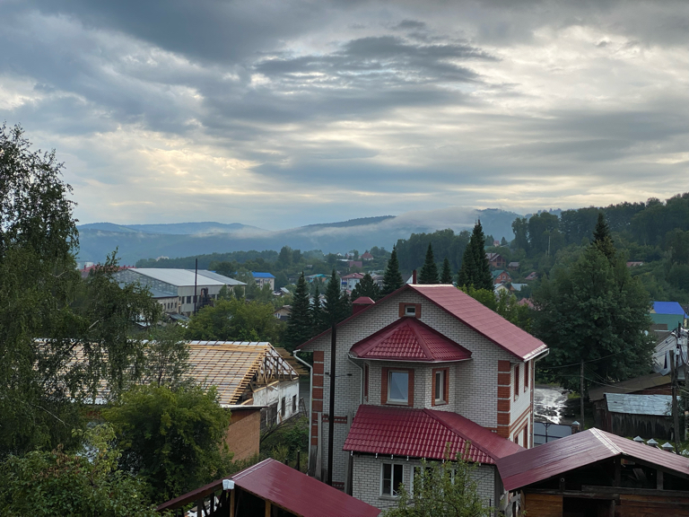 Фото Рыжий пёс