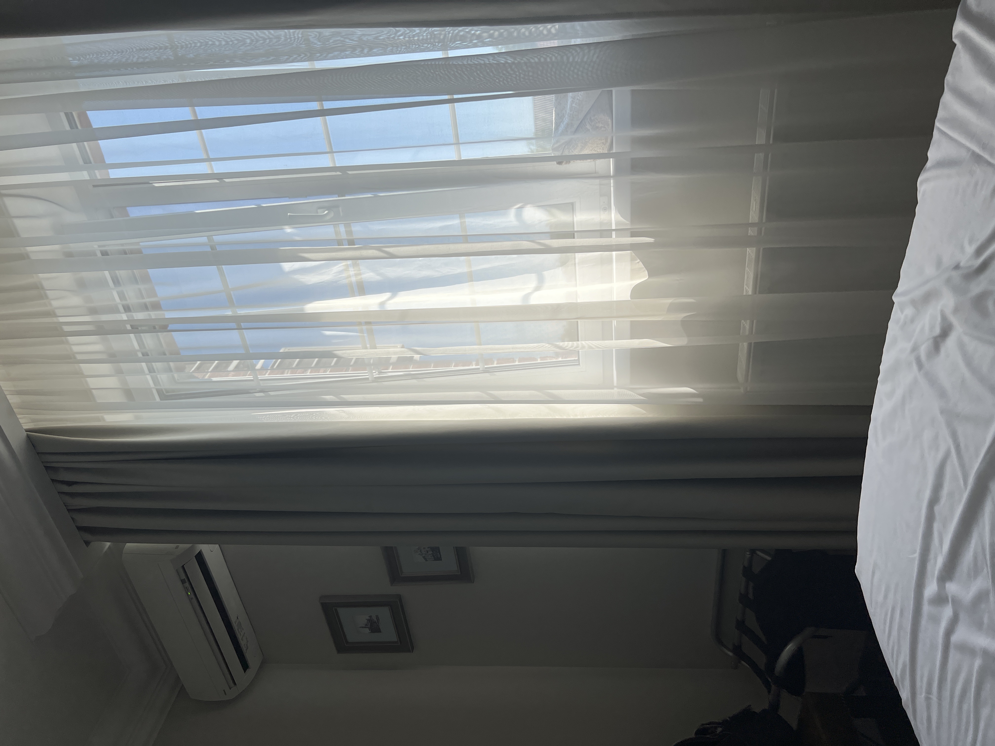 Фото Донской