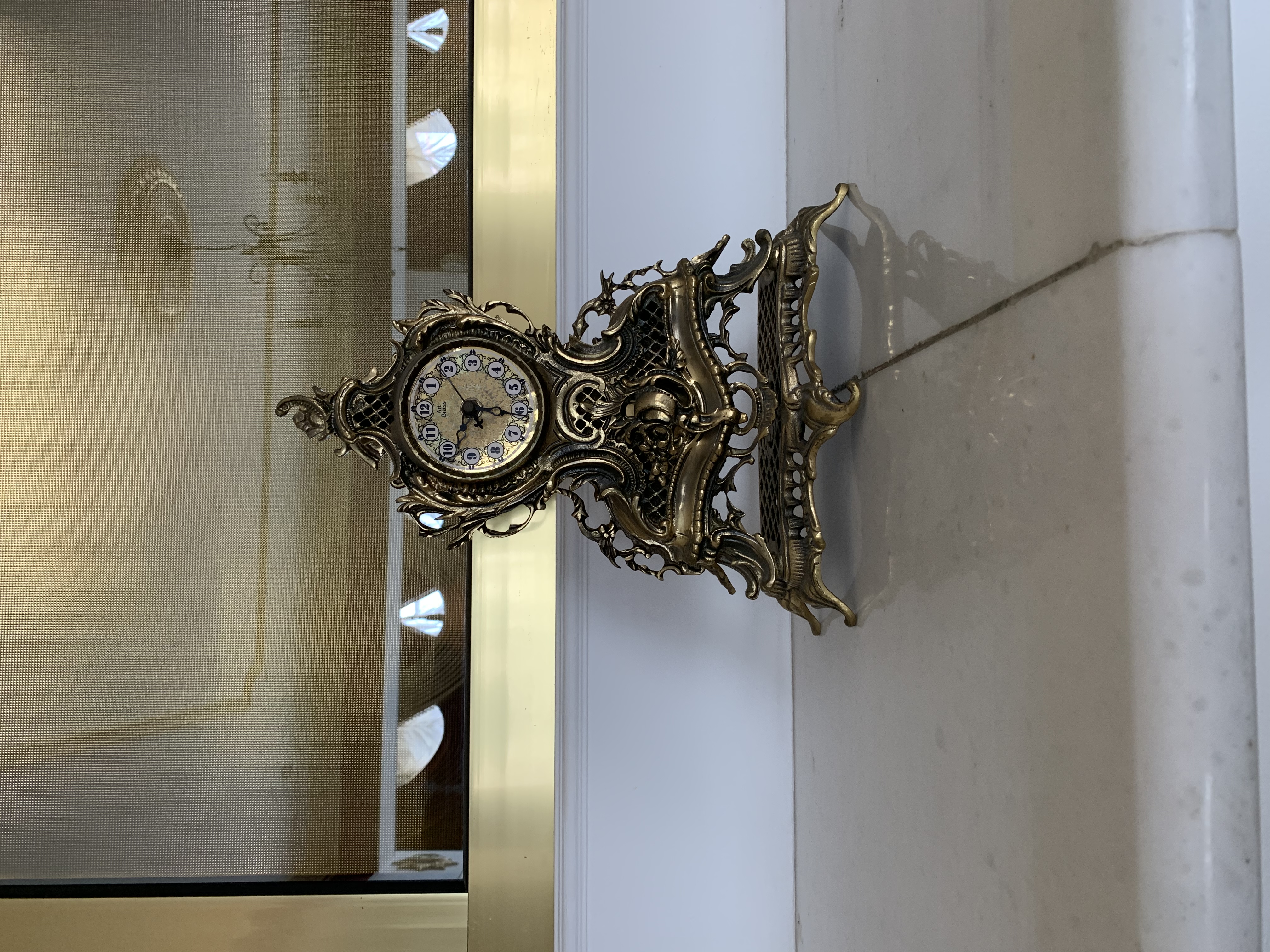 Фото Дельфин