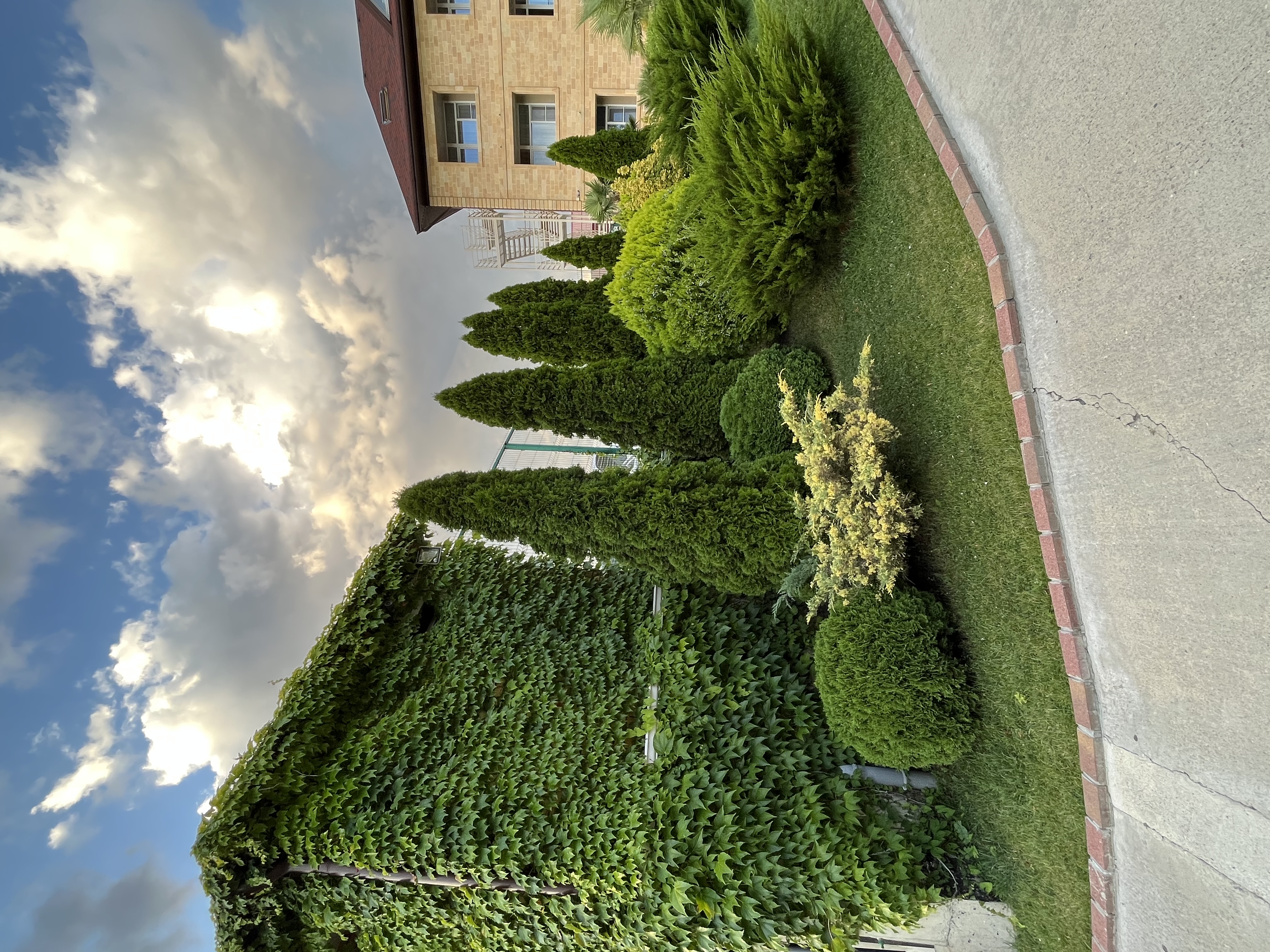 Фото Оксана