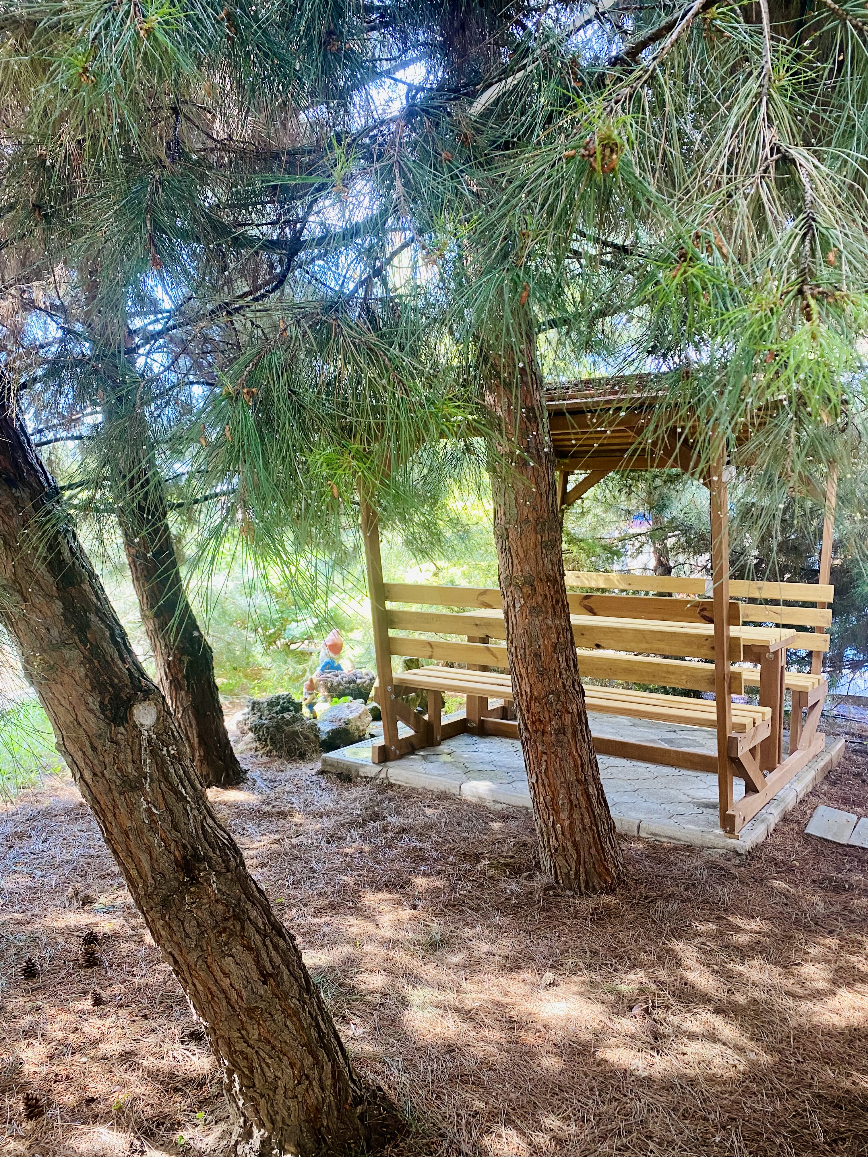 Фото Это-Лето