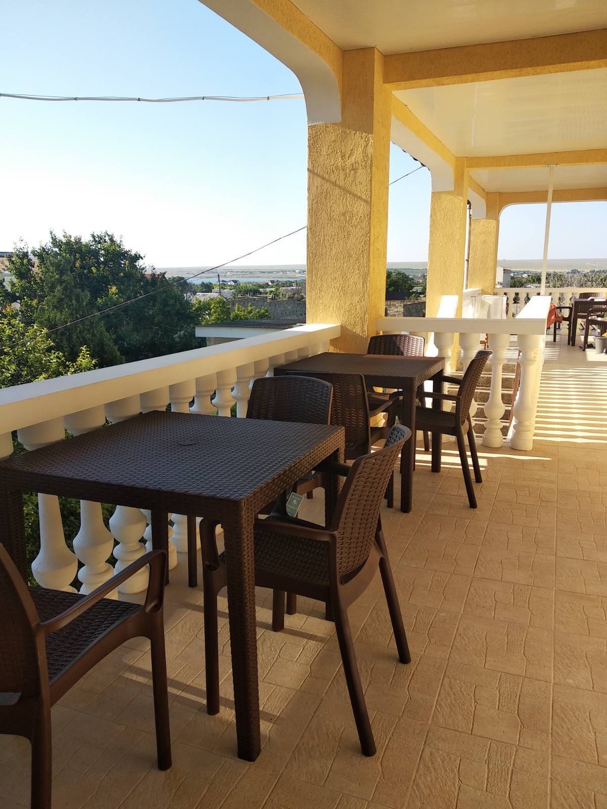 Фото Клевер