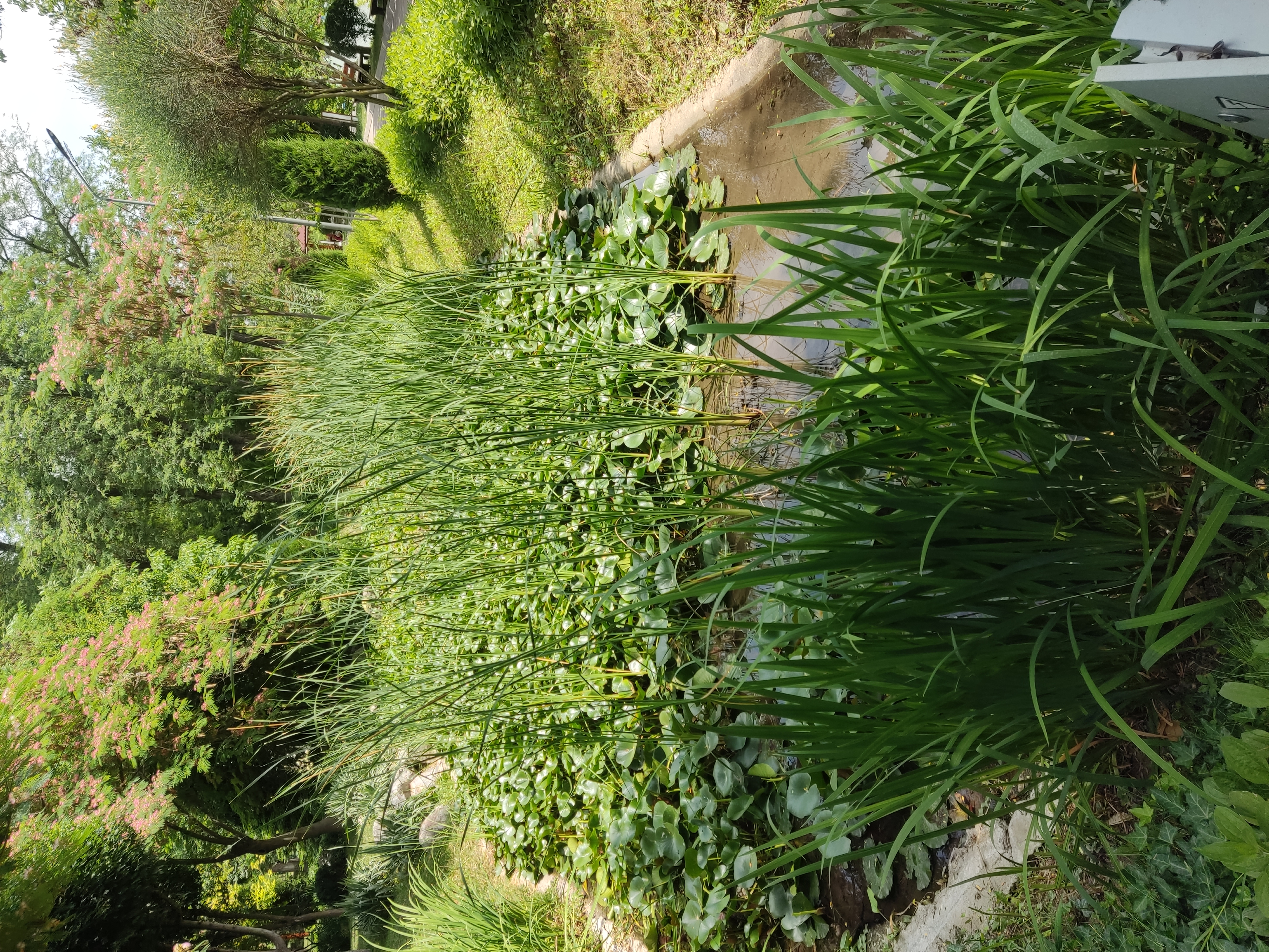 Фото Navruz Hotel Tashkent