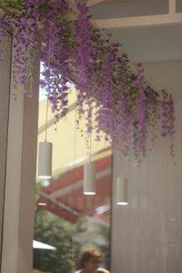 Wisteria (проспект Нахимова, 2В) ، مقهى