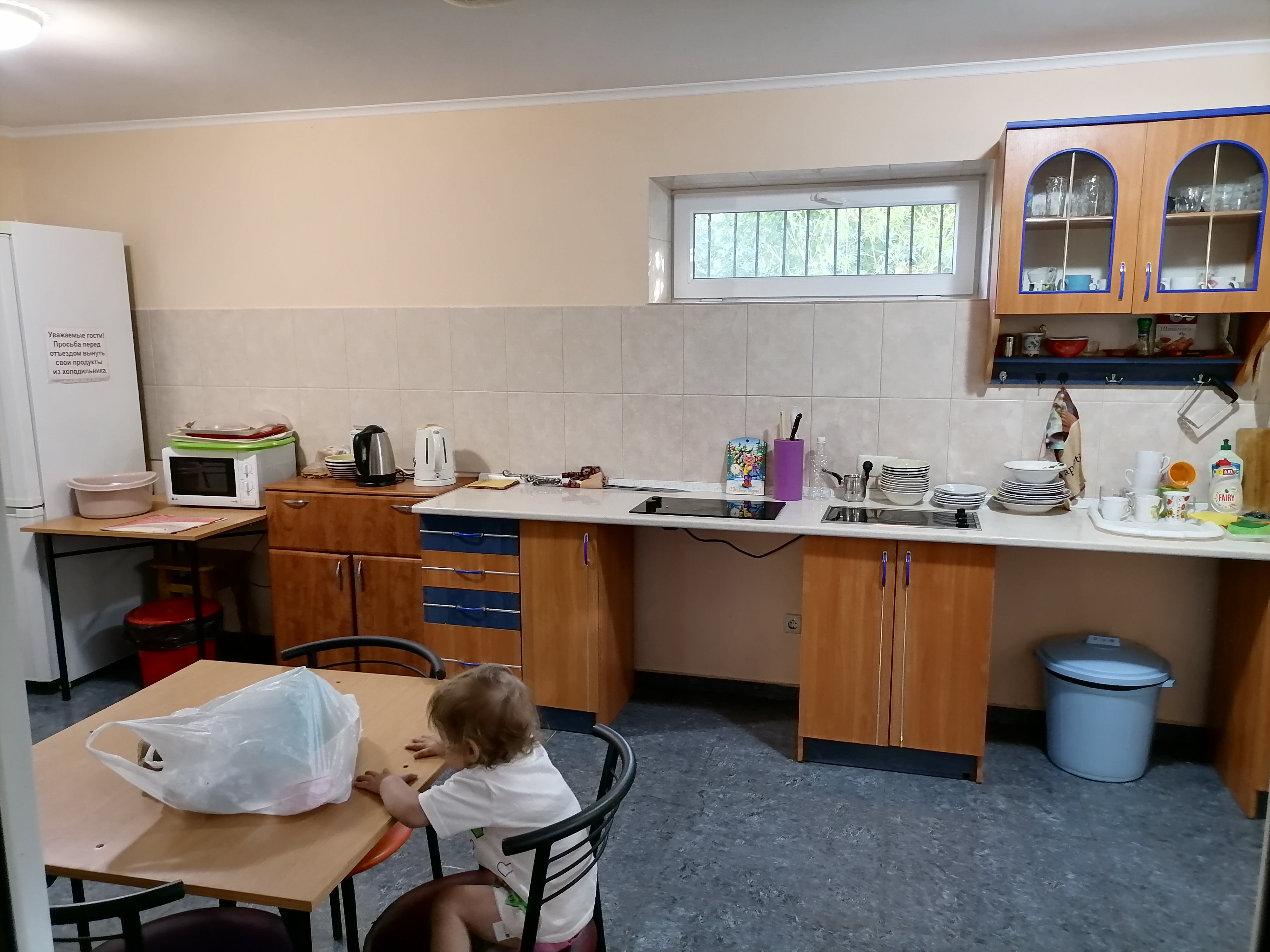 Фото Горлица