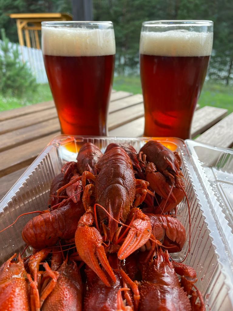 Фото Шале АйОк