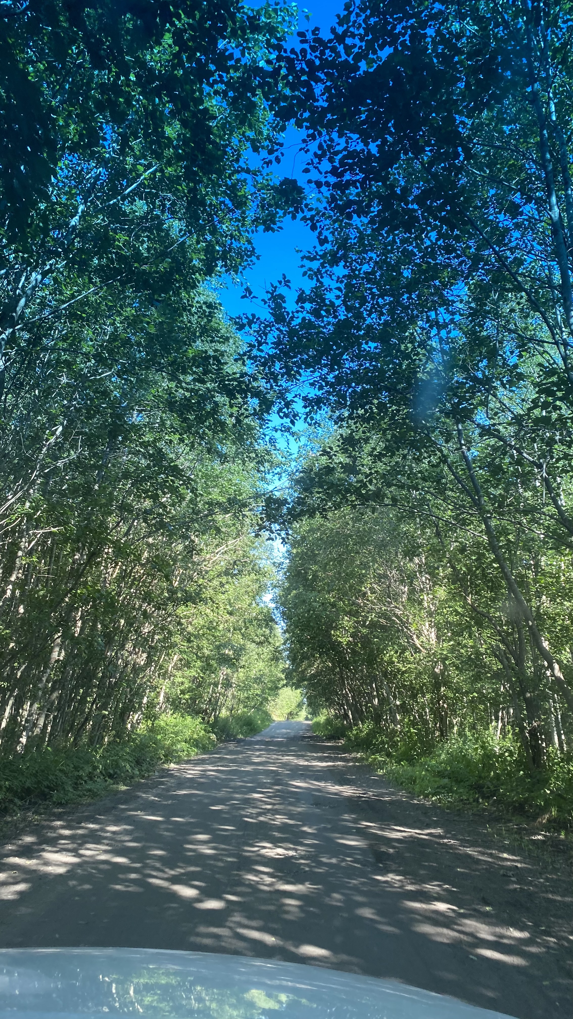 Фото Видноозеро