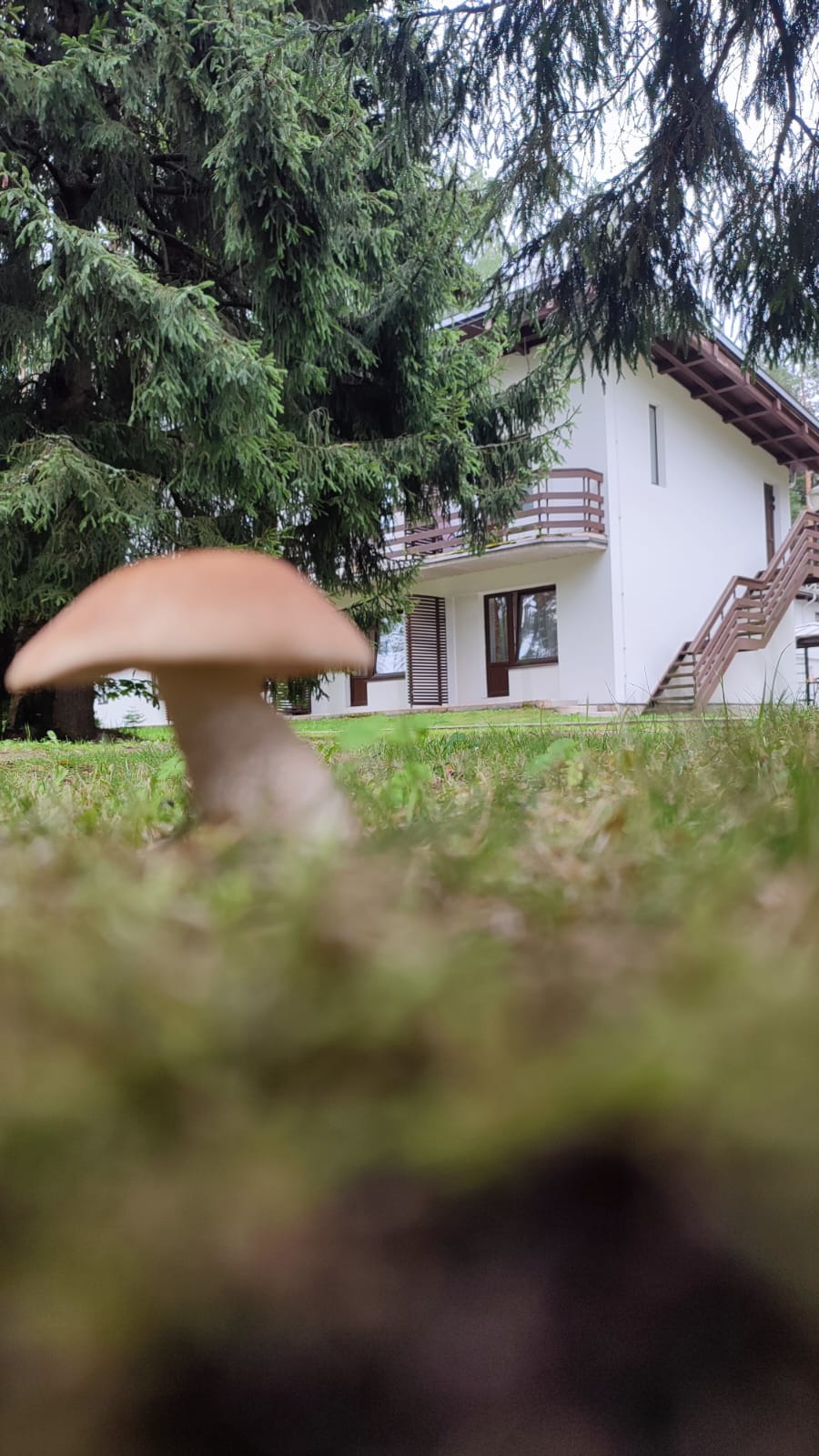 Фото Дом творчества Архитектор