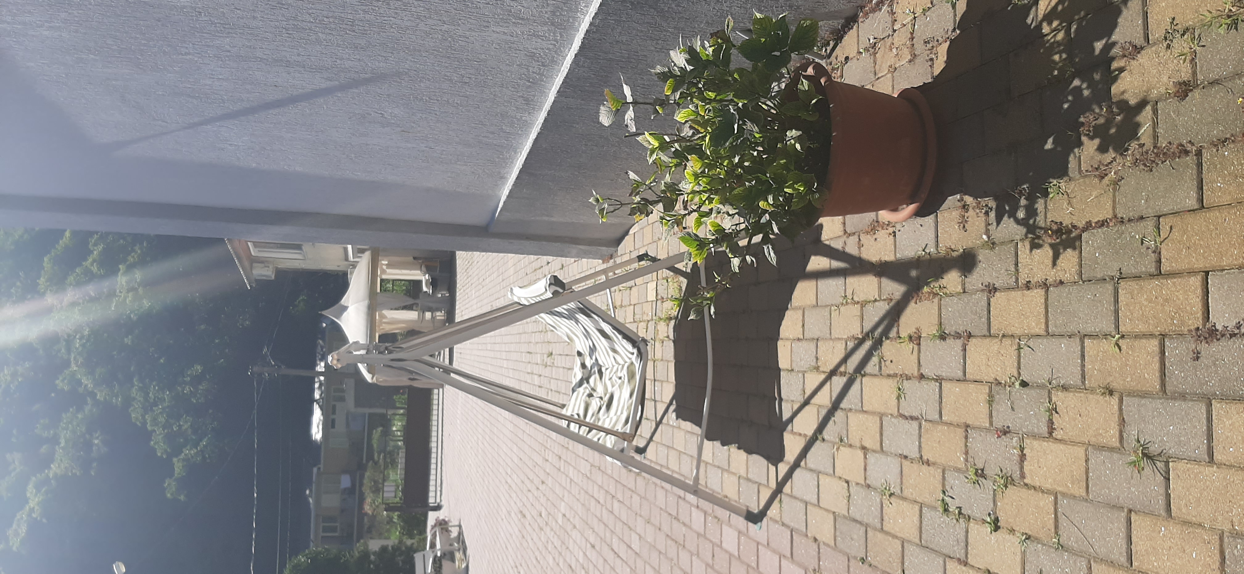 Фото Белые Скалы