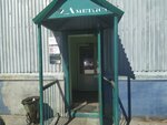 RedBird Store (Olgi Berggolts Street, 37), home goods store