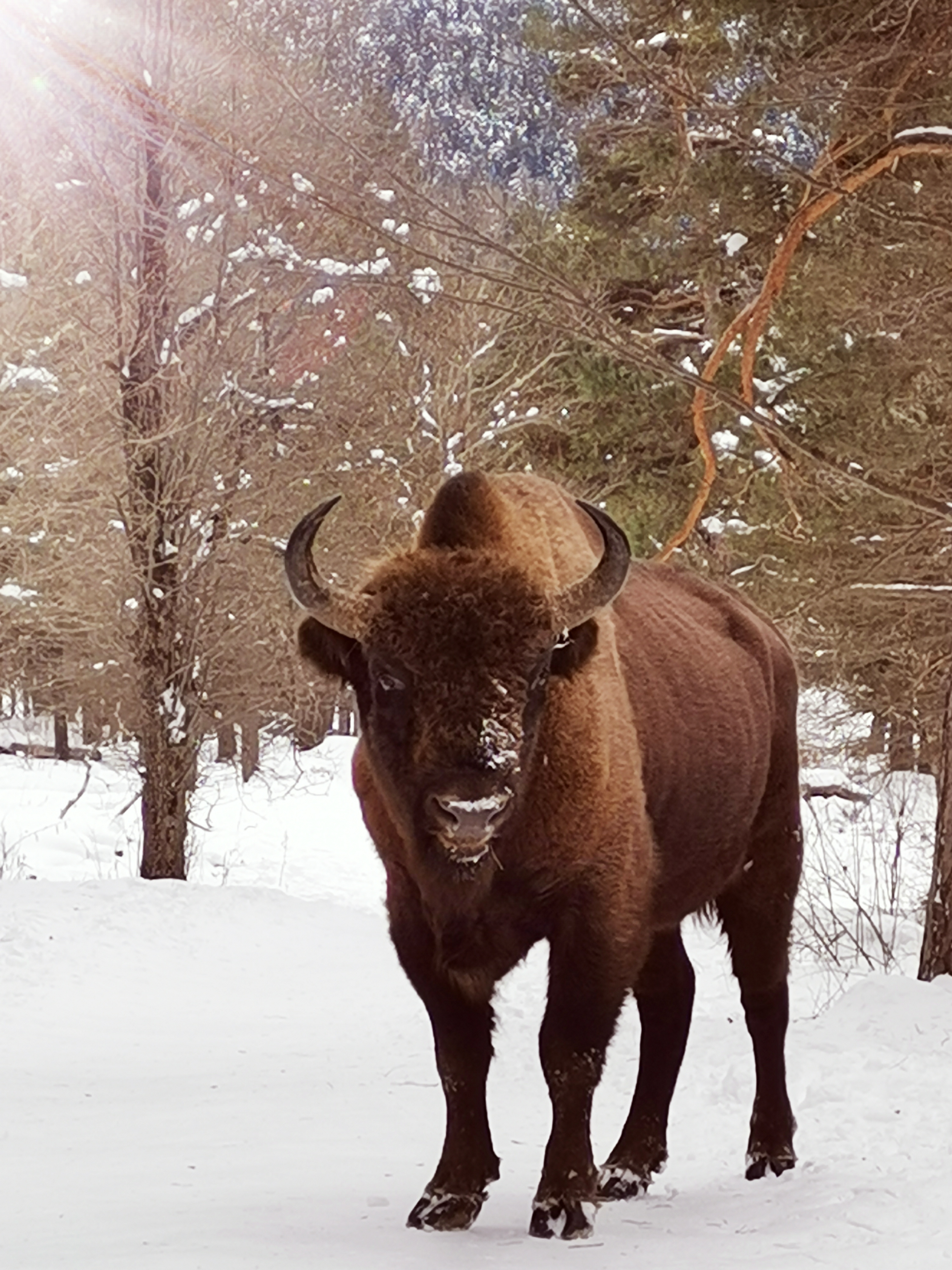 Фото Счастливые люди