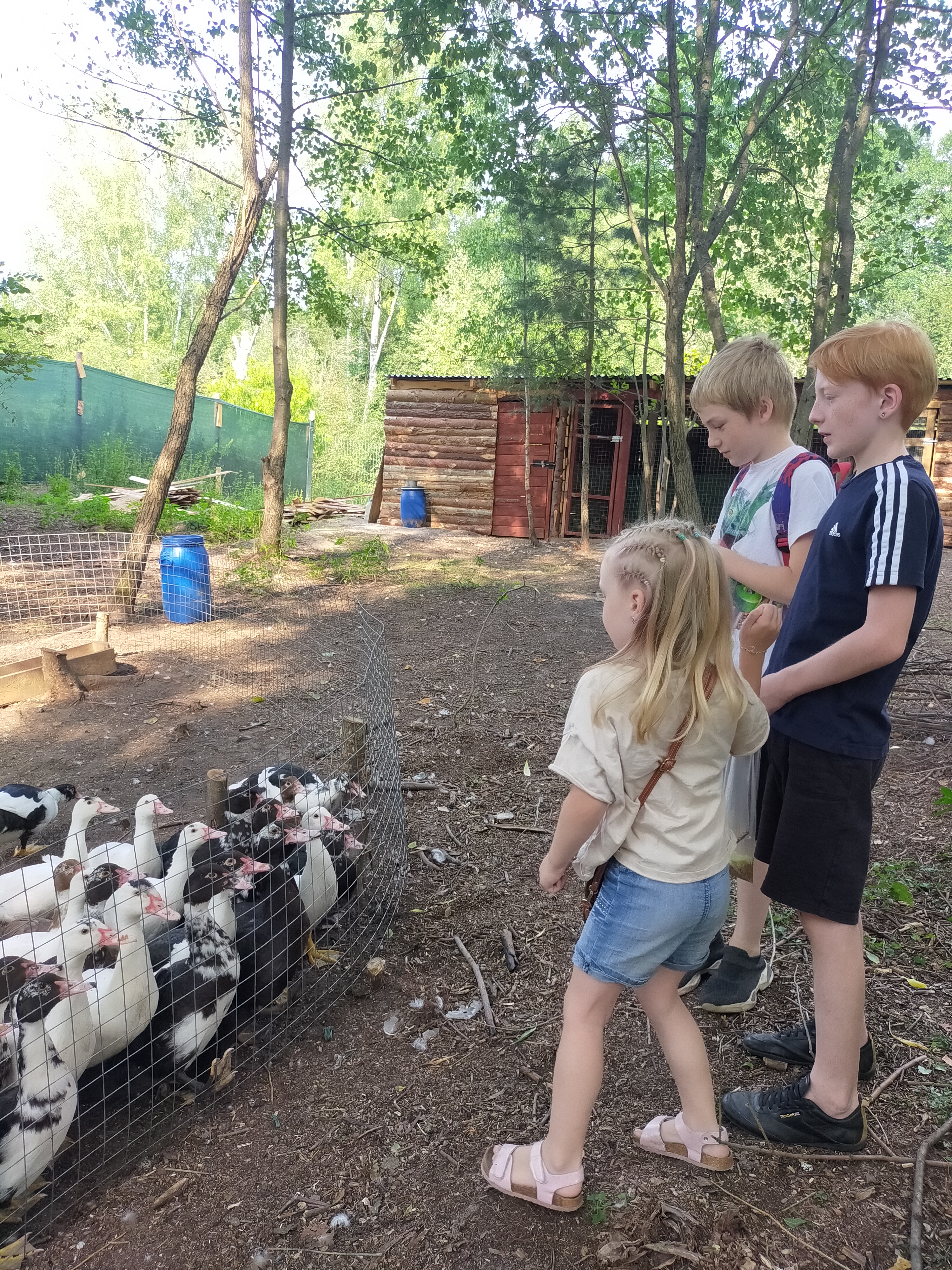 Фото Дикое подворье