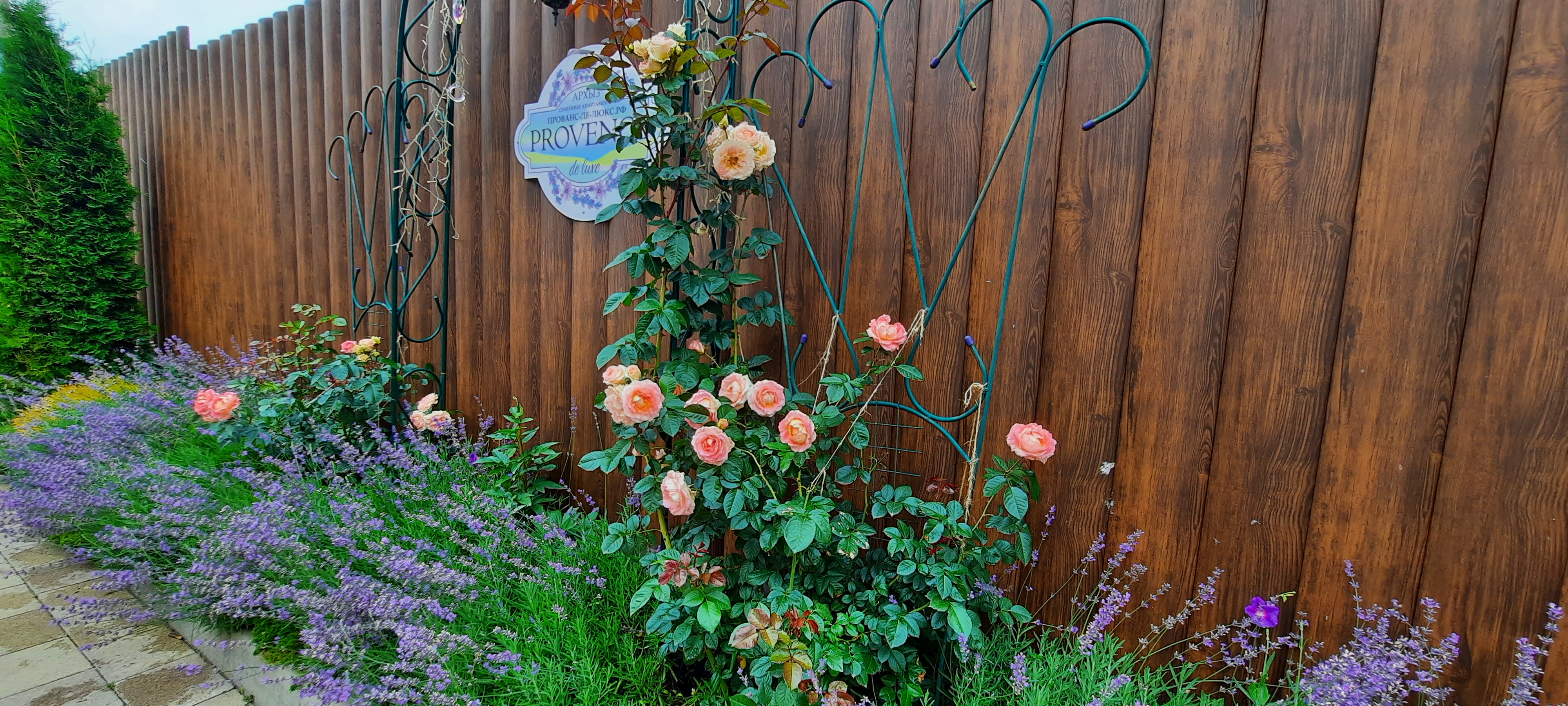 Фото Provence de Luxe