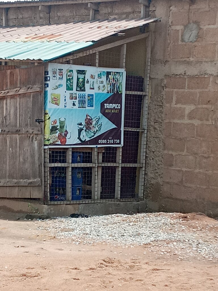 Supermarket Tampico minimart, Earth, photo