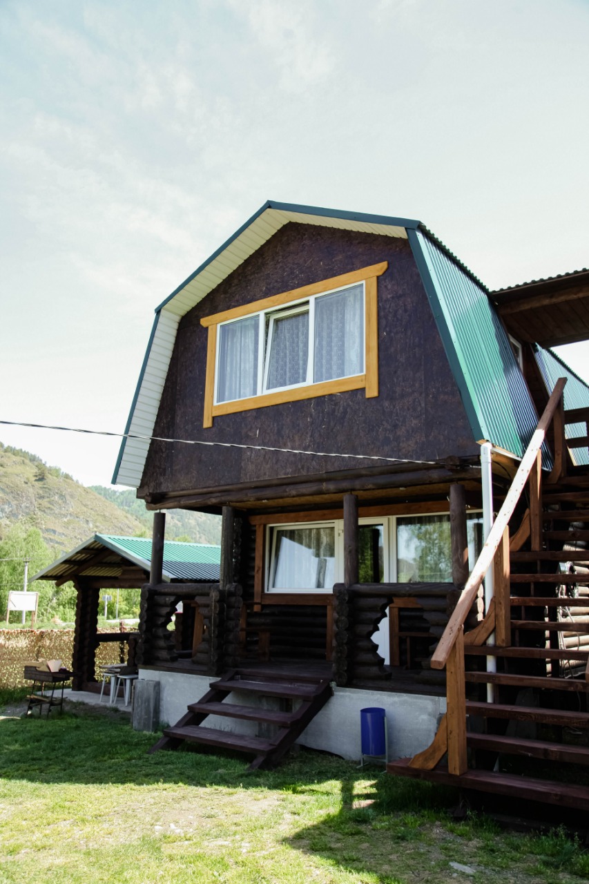 Фото Золотой медведь