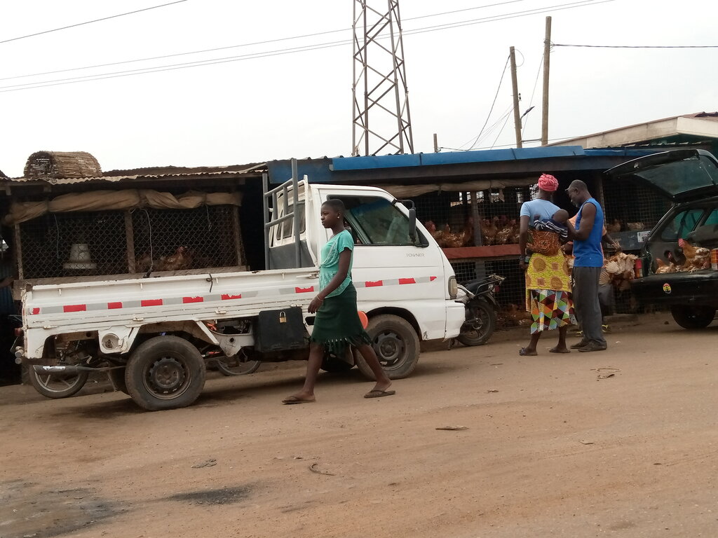 Egg and poultry meat Poultry farm, Accra, photo