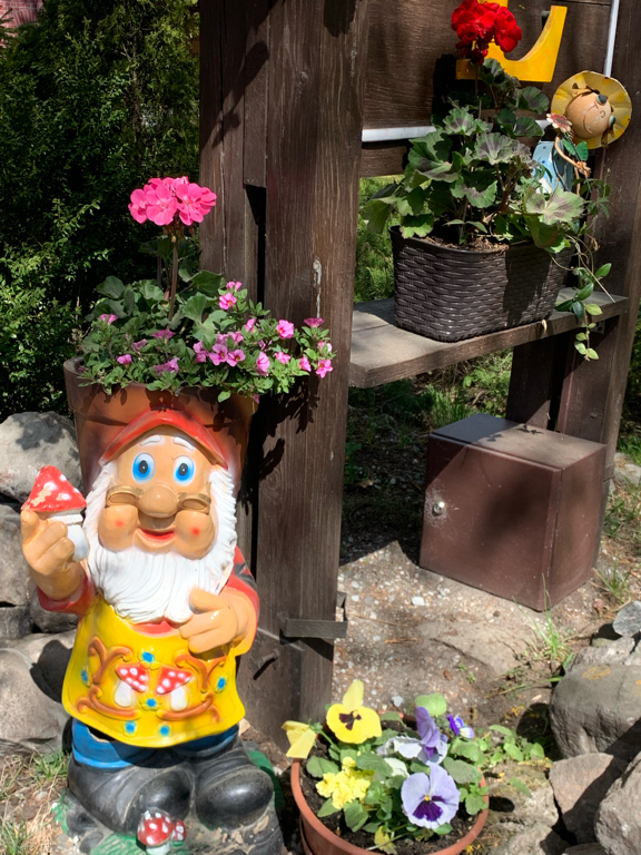 Фото Старый Доктор