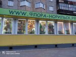 Флора (Норильск, Талнахская ул., 72), магазин цветов в Норильске