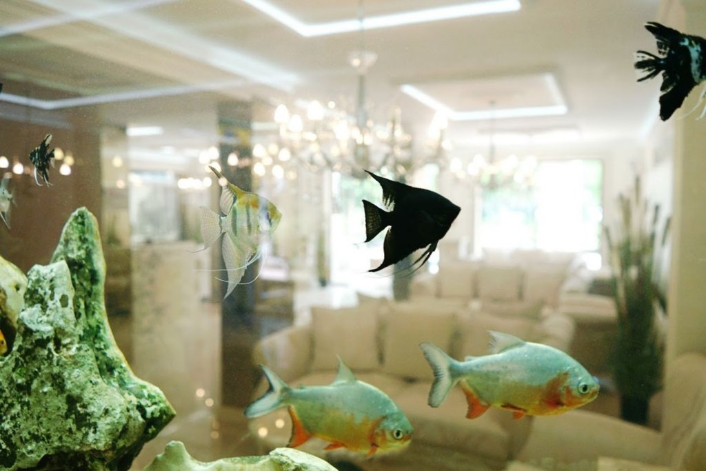 Фото Harmony Suites