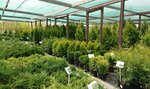 Sadovod 54 (Novosibirsk, Berdskoye Highway, 20к16), centro de jardinería