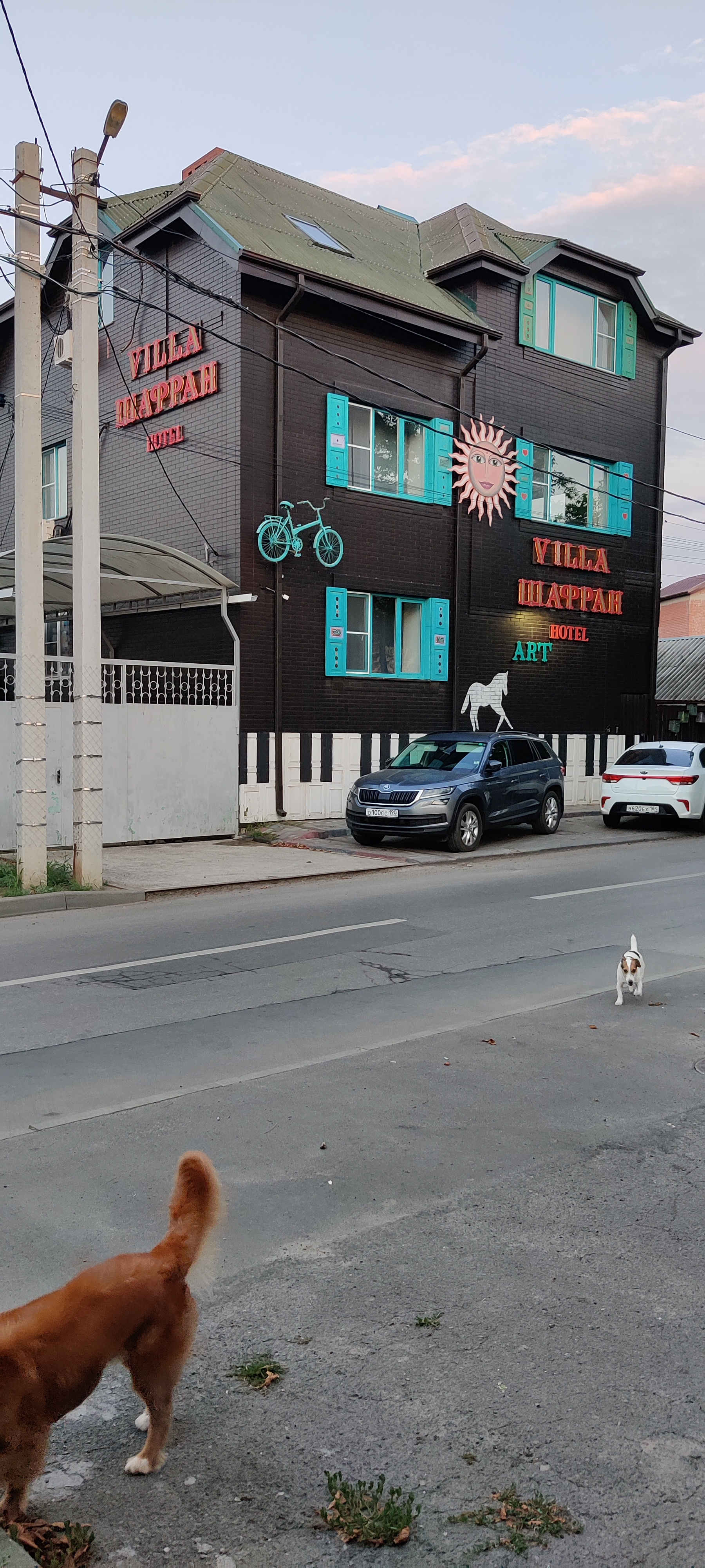 Фото Вилла Шафран