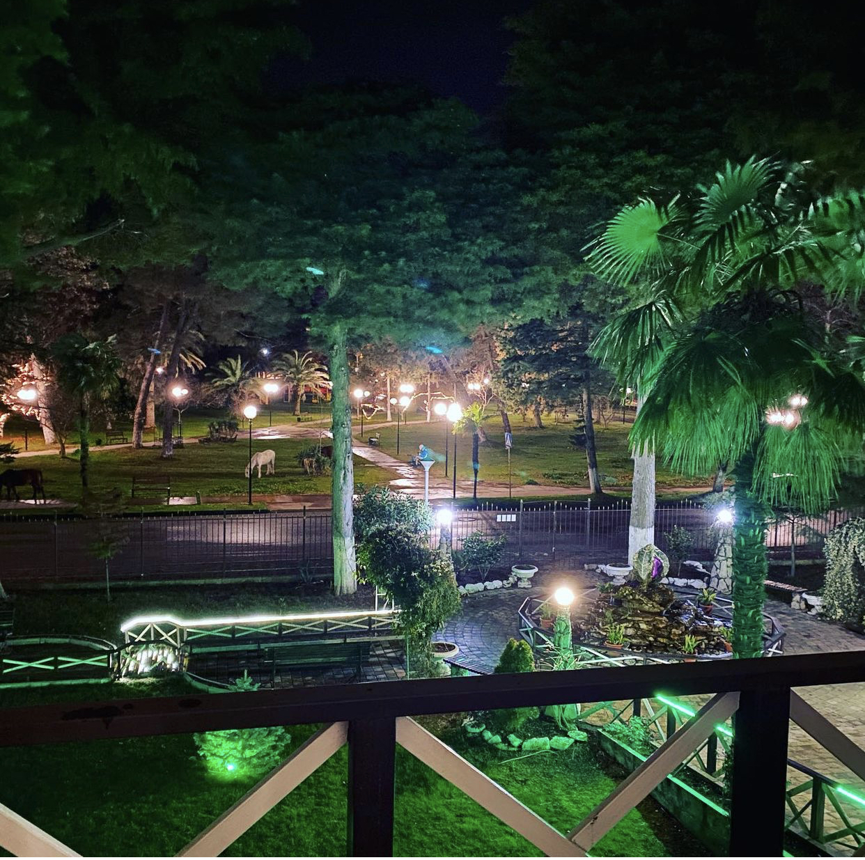 Фото Пицунда