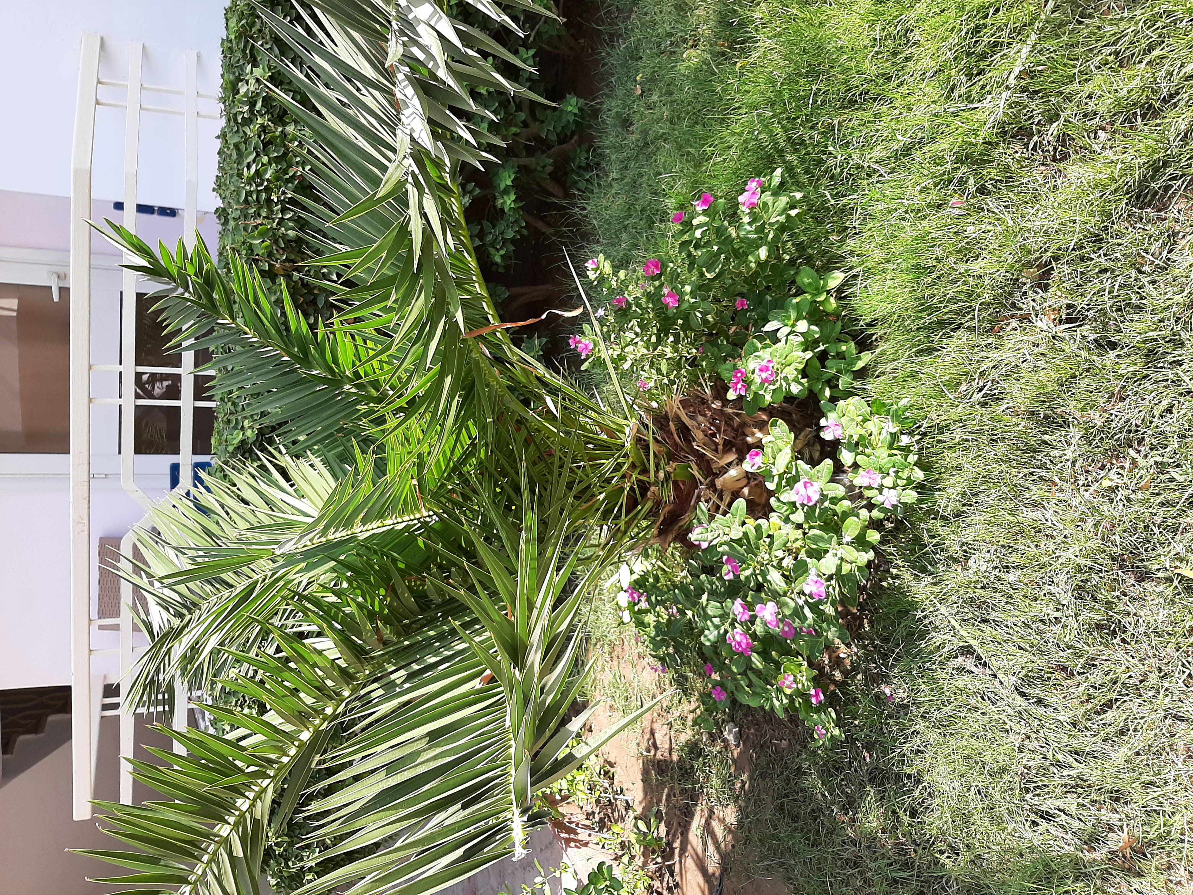 Фото MinaMark Resort & SPA