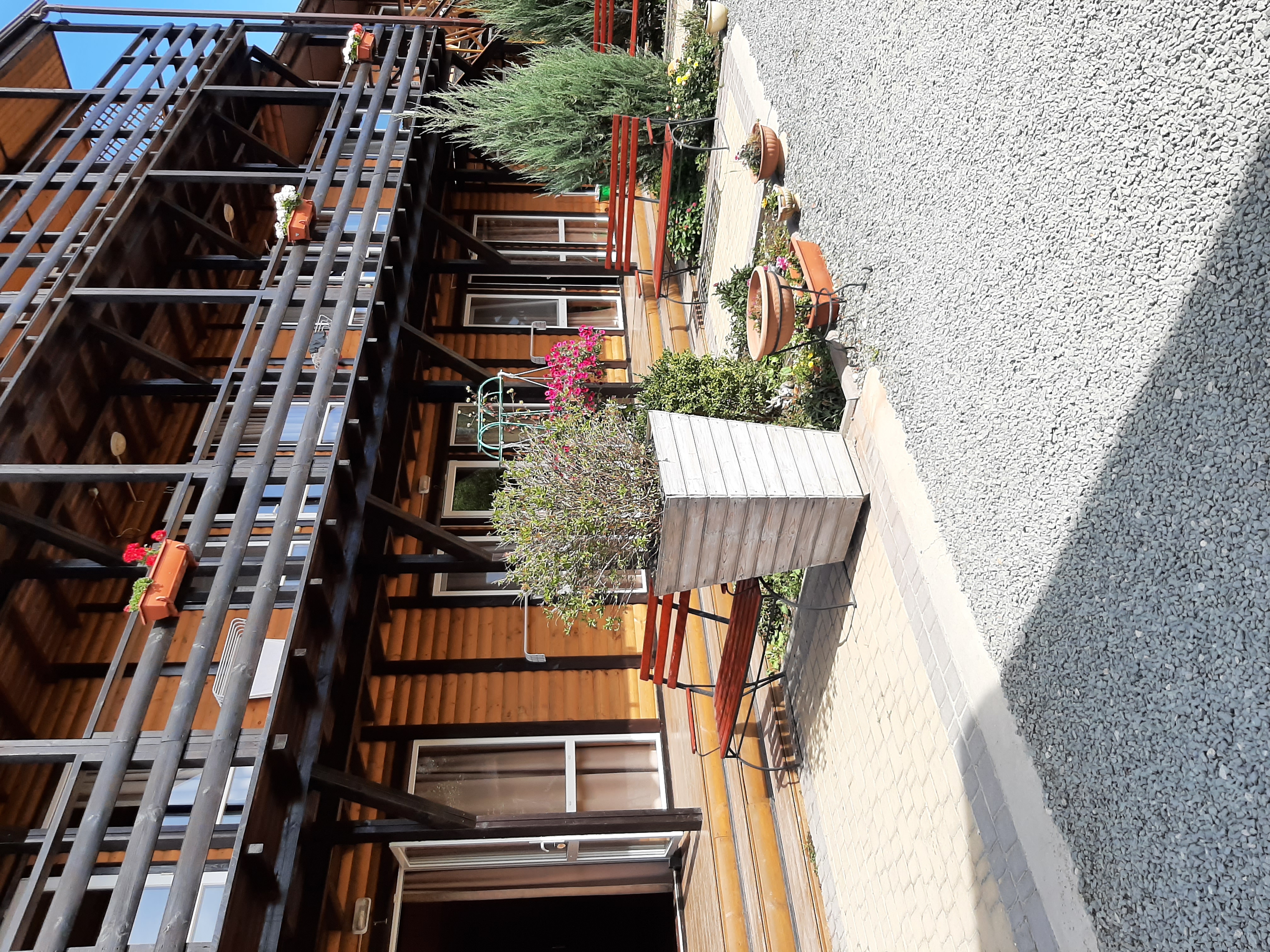 Фото Дюльбер 117