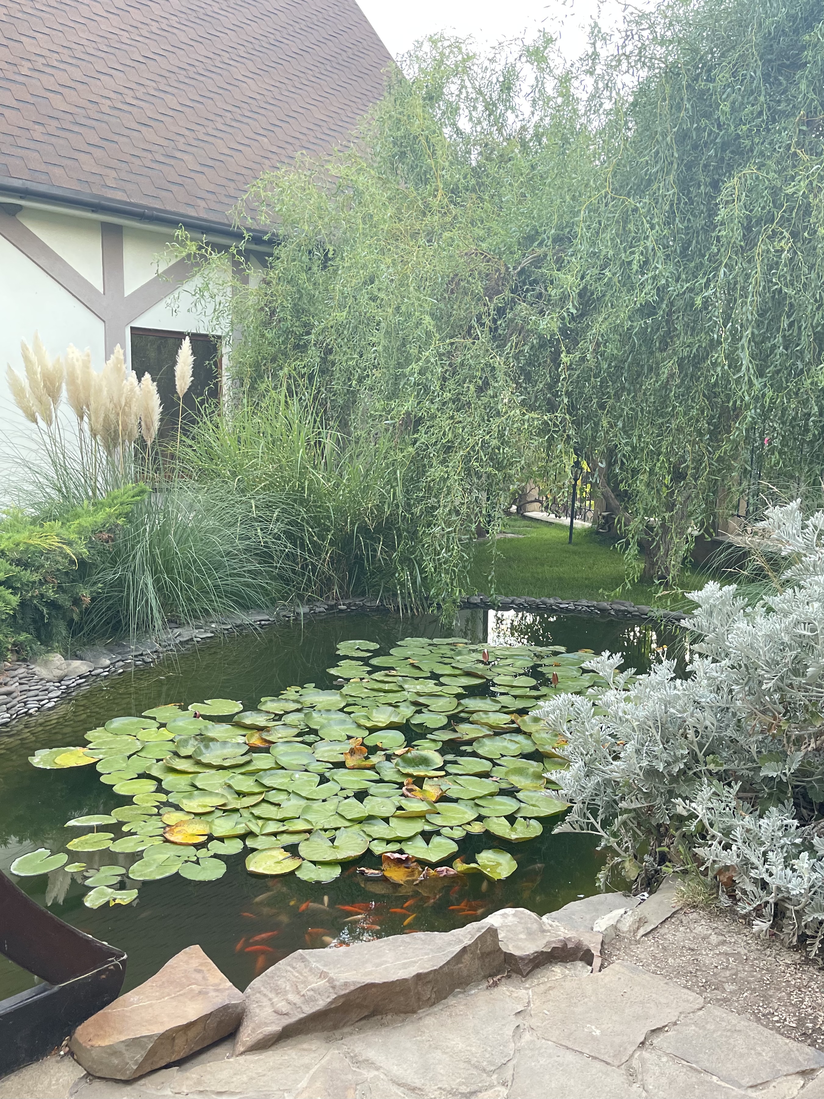 Фото Альпийская долина