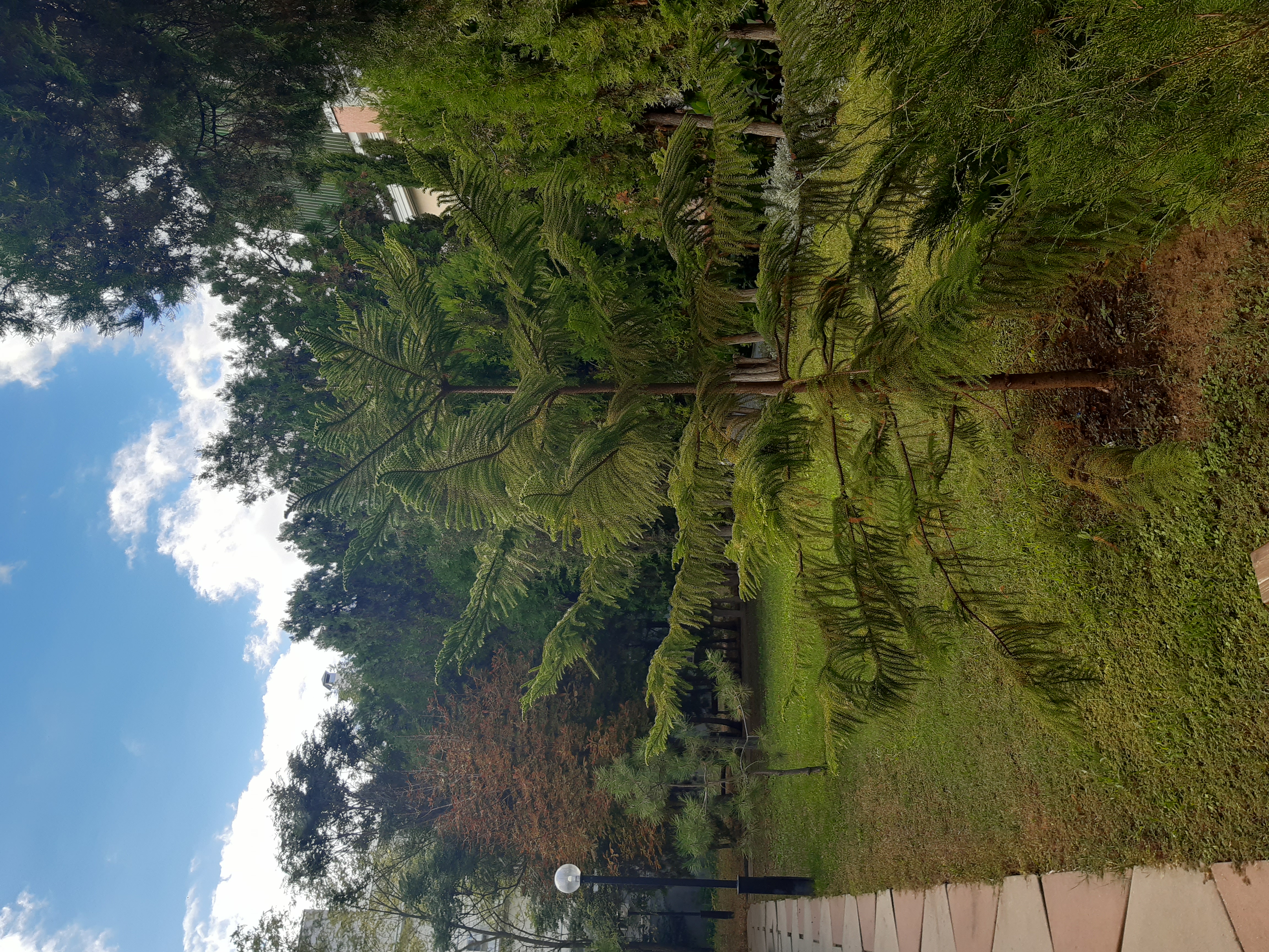 Фото Астра центр