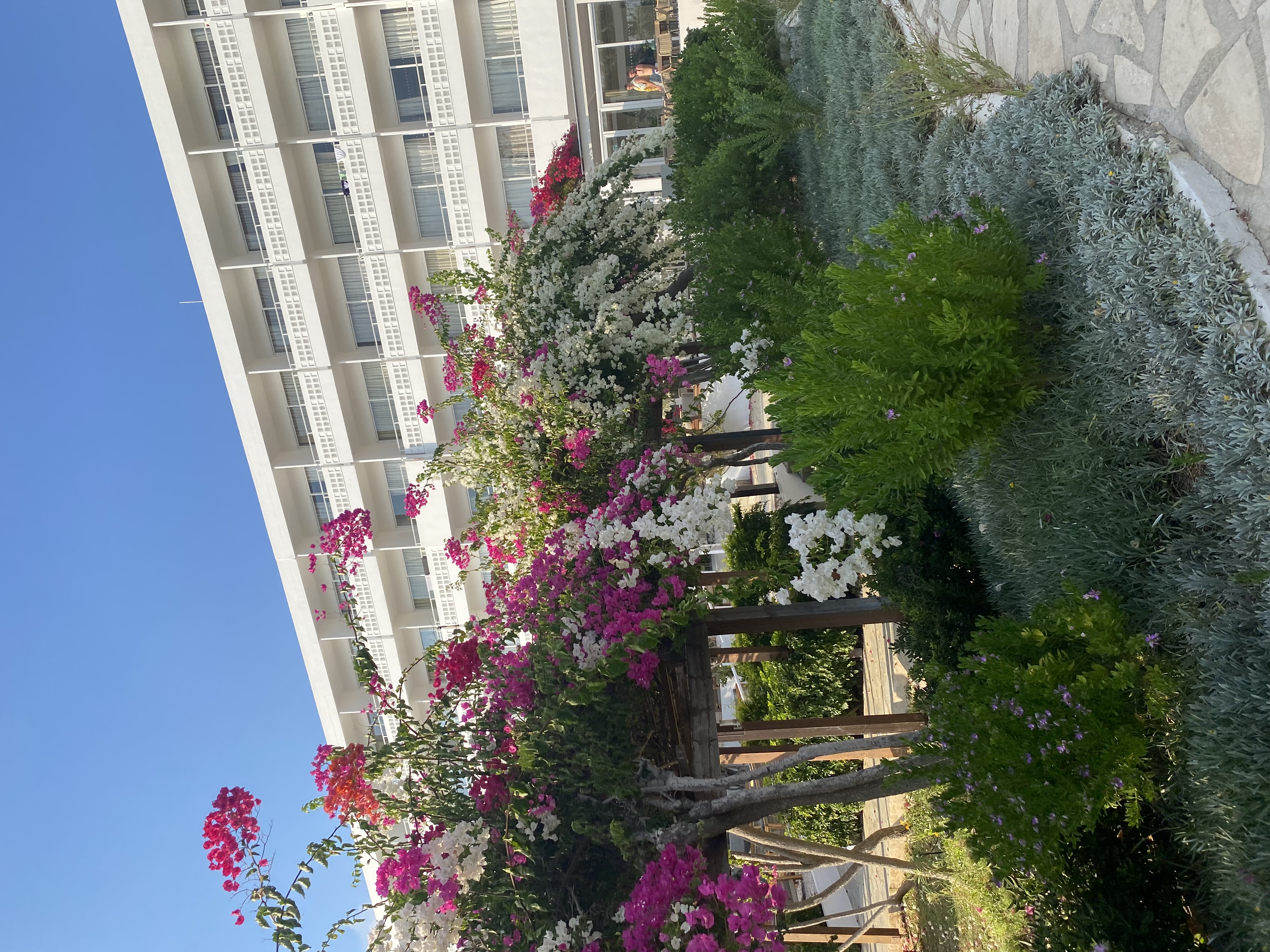 Фото Отель Nissi Beach Resort