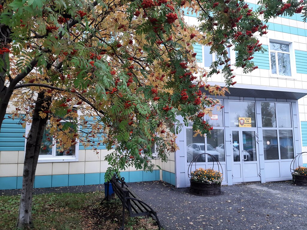 Civil defense Department for Civil Defense and Emergency Situations of Polysaevo, Polysaevo, photo