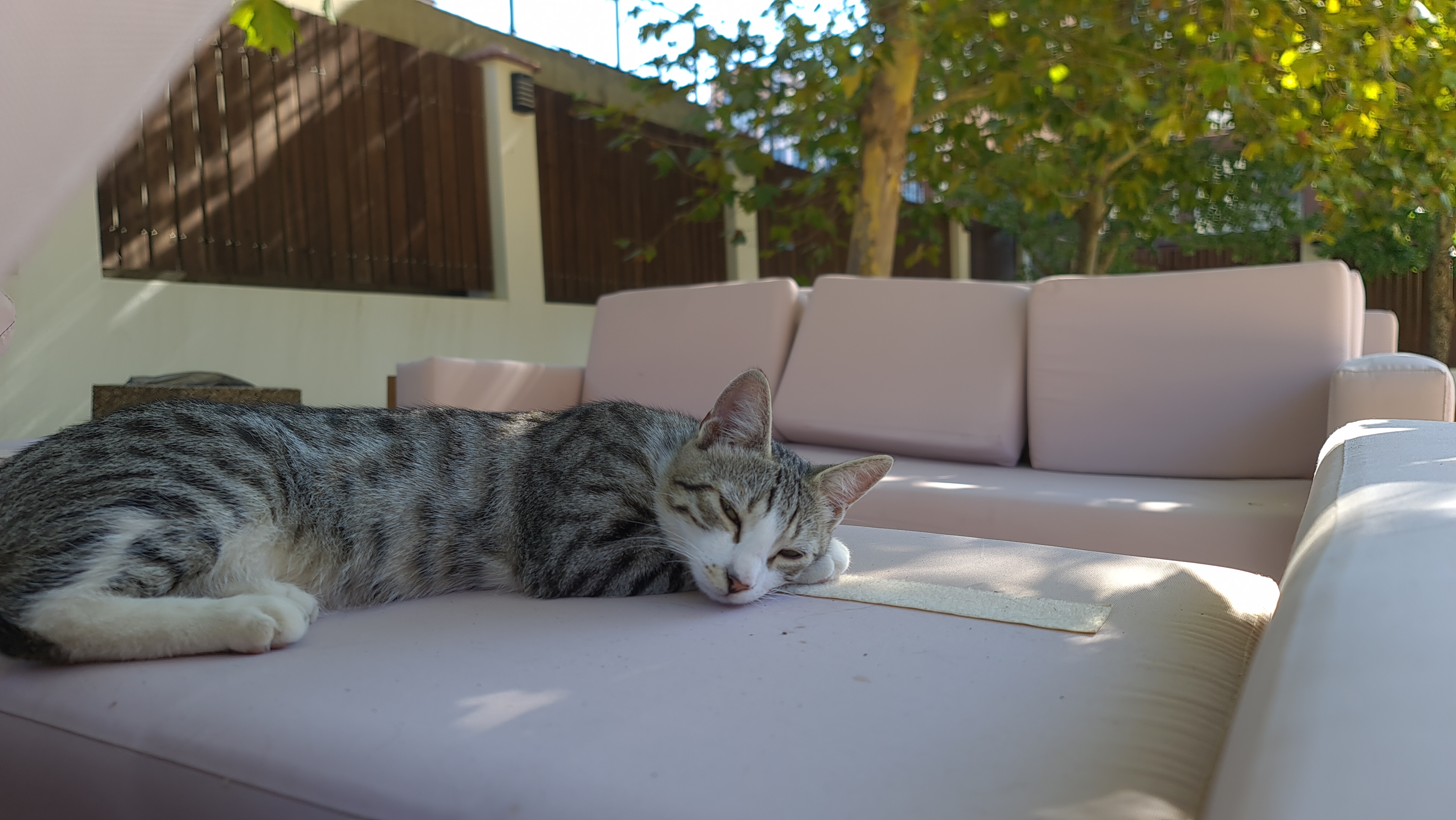 Фото Пансионат Кубань