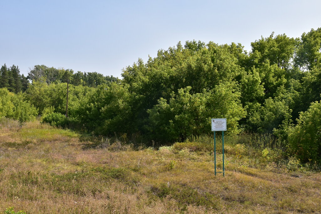 Nature Лесопарк на усадьбе А.Н. Карамзина в с. Полибино, Orenburg Oblast, photo